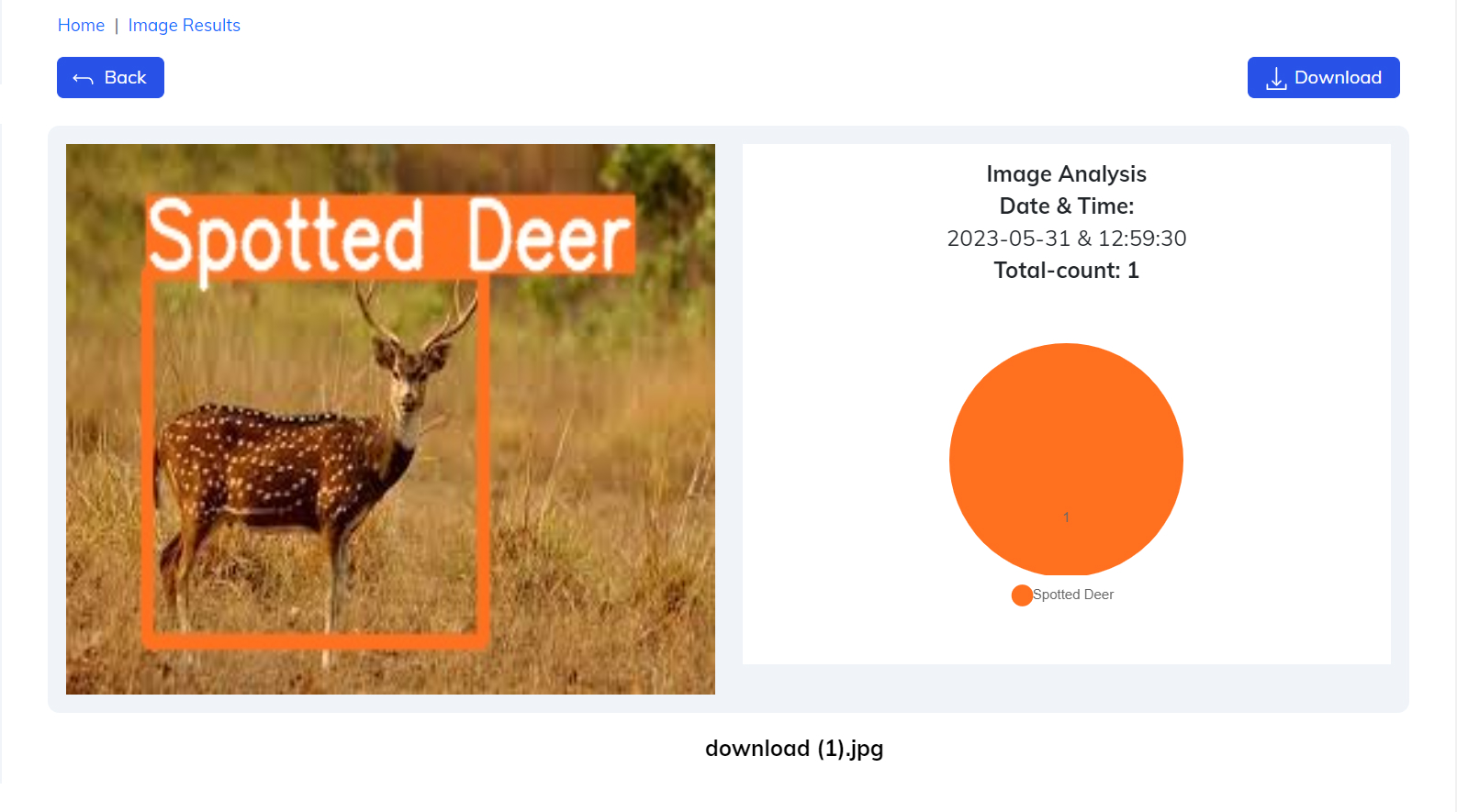 Detailed analytics Detailed analytics